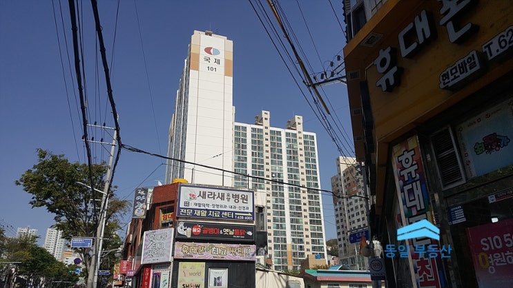  실수요자를 위한 아파트 - 감만동 국제아파트 공매