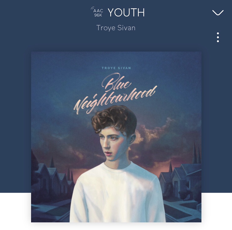  트로이 시반 troye sivan 내한공연
