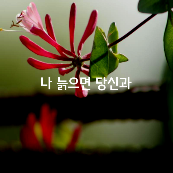  나 늙으면 당신과 살아보고 싶어
