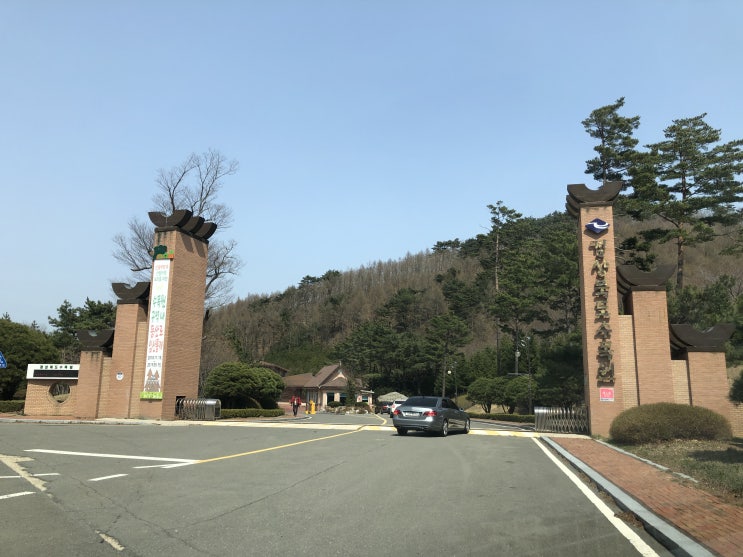  경북여행리포터 [93] 봄맞이 경상북도 수목원