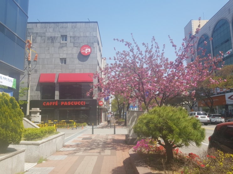  삼척>파스쿠찌/레드빈흑임자그라니따/볼로네포카챠/넓은카페