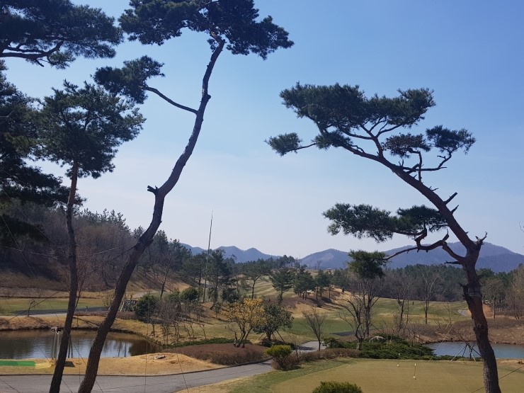 타이거우즈 타이거우즈 마스터스 마스터스
