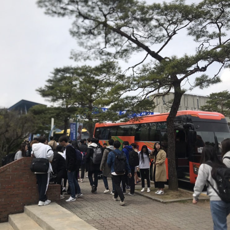  2019 관광축제리조트경영학과 2박 3일 MT를 다녀왔습니다~