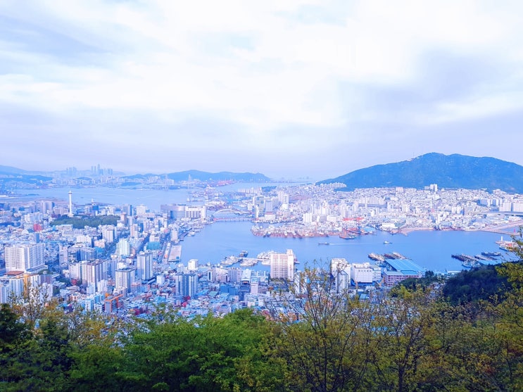  퇴근후 한바리 답사 ~부산 천마산 산행