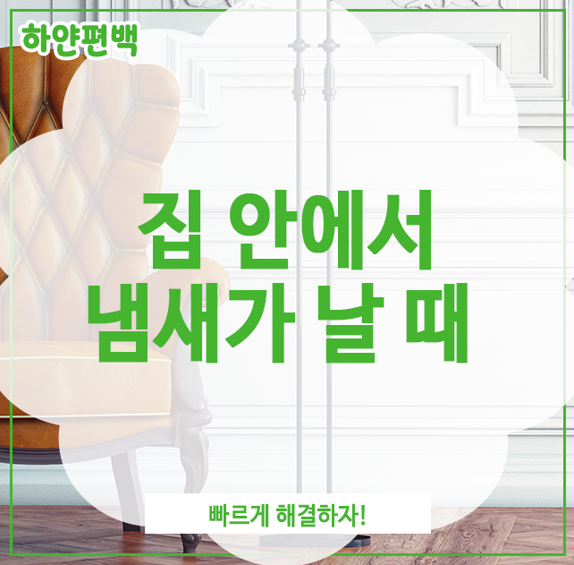  집 안에서 냄새가 날 때, 빠르게 해결하자!