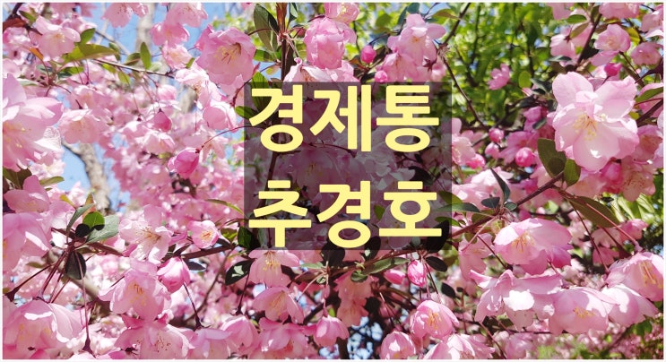  추경호 의원 전략기획부총장 임명