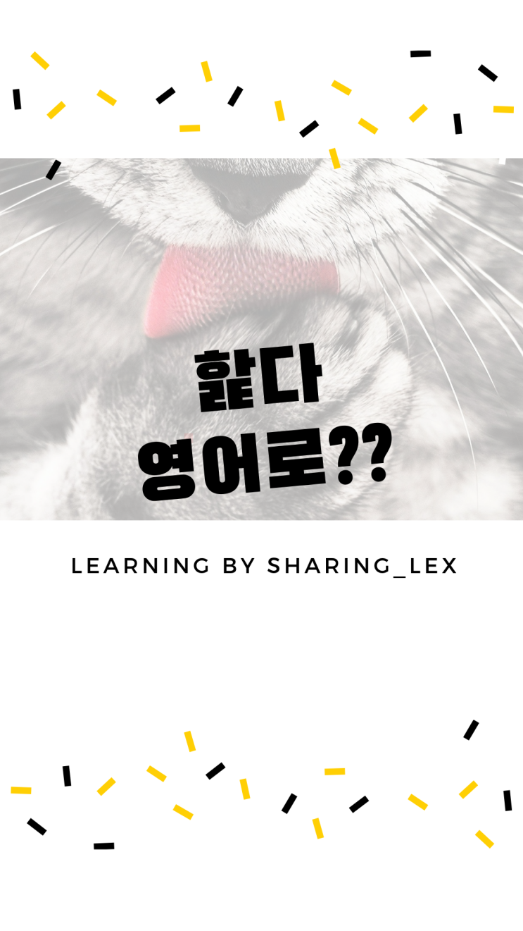  핥다는 영어로 뭐라할까?