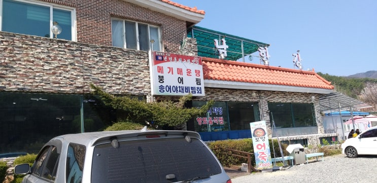  충주댐 송어회 민물매운탕 맛집 남한강