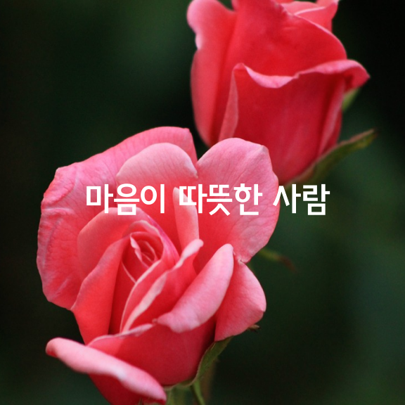  마음이 따뜻한 사람
