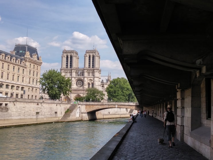  190315 파리 노트르담 대성당 화재 (La cathédrale Notre-Dame de Paris en flammes ) BBC 기사 발췌