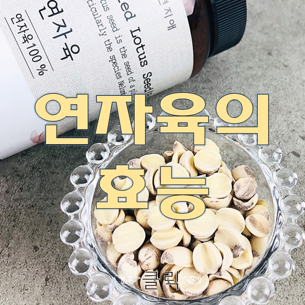  연자육의 효능 끝내주게 먹는법 알려준다!!
