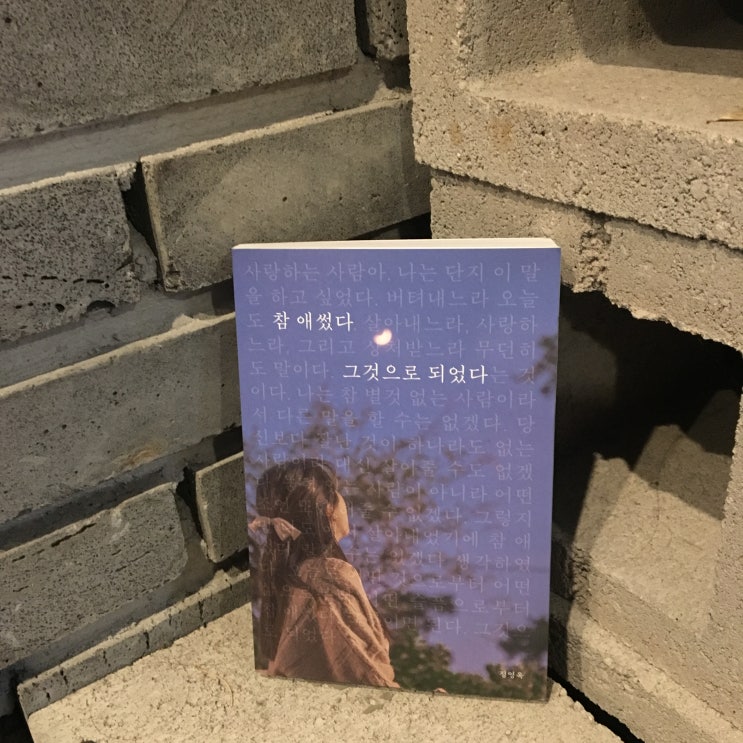  우울한 일상 속의 위로 <참 애썼다 그것으로 되었다> 에세이 추천, 감성 에세이
