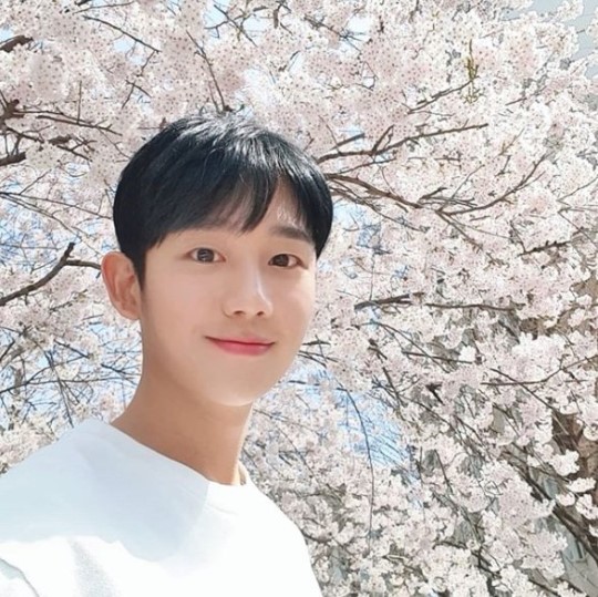 "선남의 정석"..정해인, 만개한 벚꽃나무 아래 훈훈한 미소 "선남의 정석"..정해인, 만개한 벚꽃나무 아래 훈훈한 미소