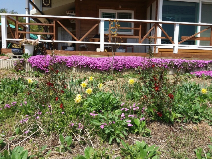  월산지송놀이터190416(봄소식)