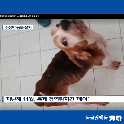  [서명] 서울대수의대 이병천을 해임하고 정부는 책임져라
