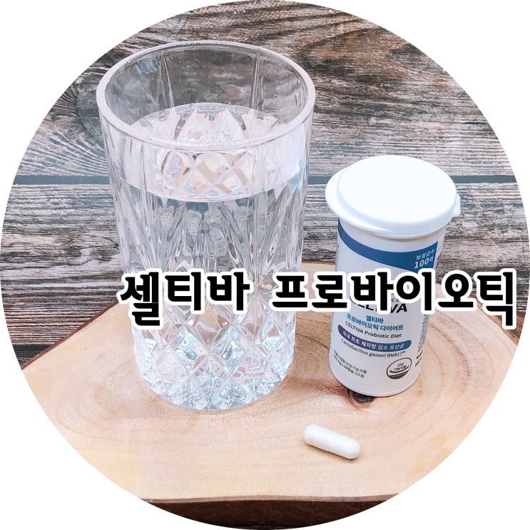  셀티바 모유유산균 하루 한알로 다이어트 까지 