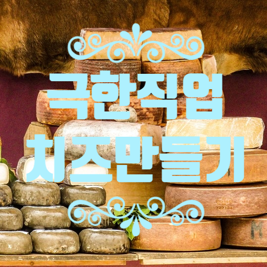  극한직업 발효의 맛 스페인 하몬부터 치즈 흑산도 홍어 까지