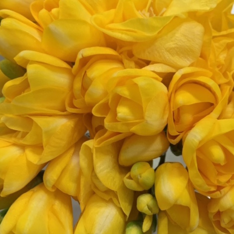  04.16