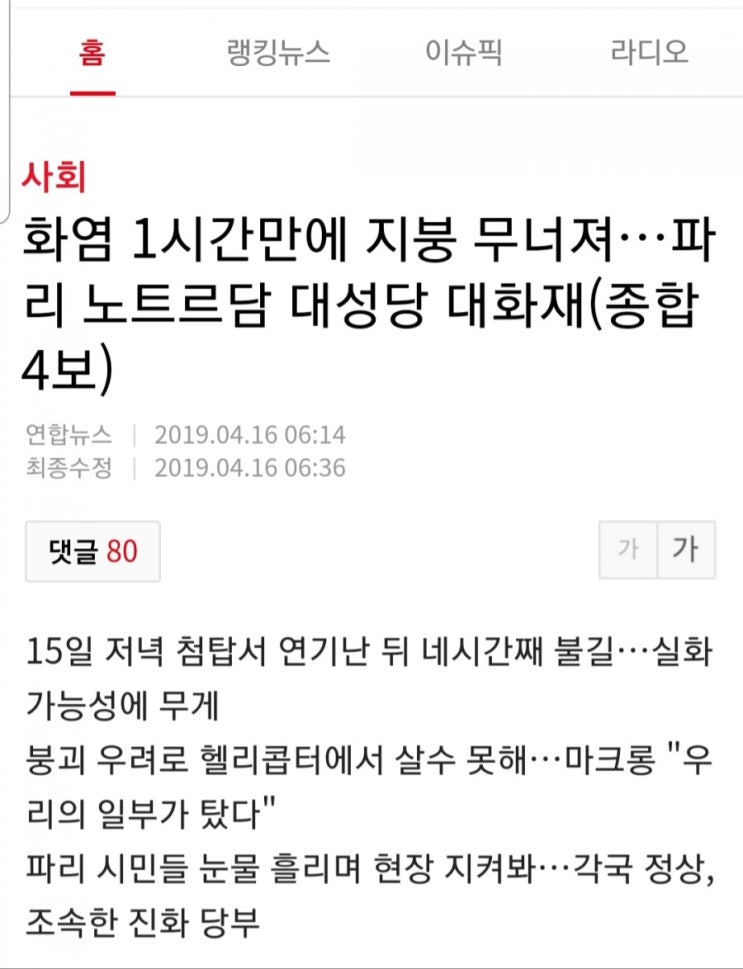  파리 노트르담 대성당 대화재...