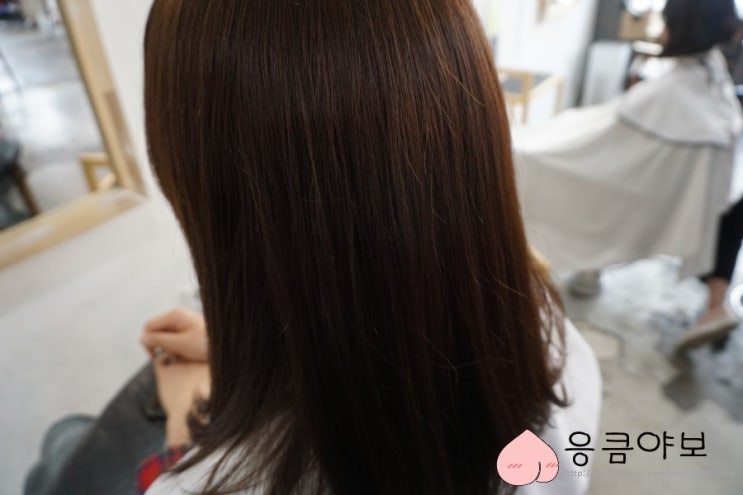  단국대 미용실) 메종드헤어 죽전점에서 클리닉 받은 후기.