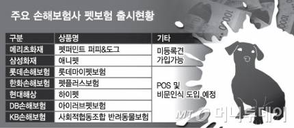 "보험금 노리고 사람도 죽이는데" 펫보험의 두 얼굴 "보험금 노리고 사람도 죽이는데" 펫보험의 두 얼굴