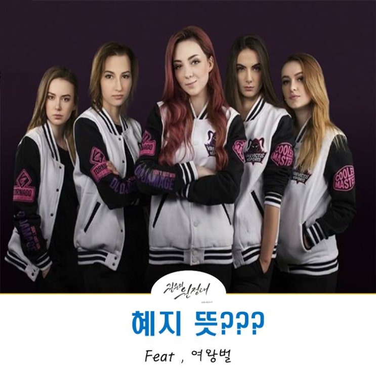  롤 혜지뜻, 어원은? 혜지팀 Vaevictis eSports 까지