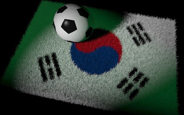 대한민국 축구대표팀 월드컵 기록 -2편