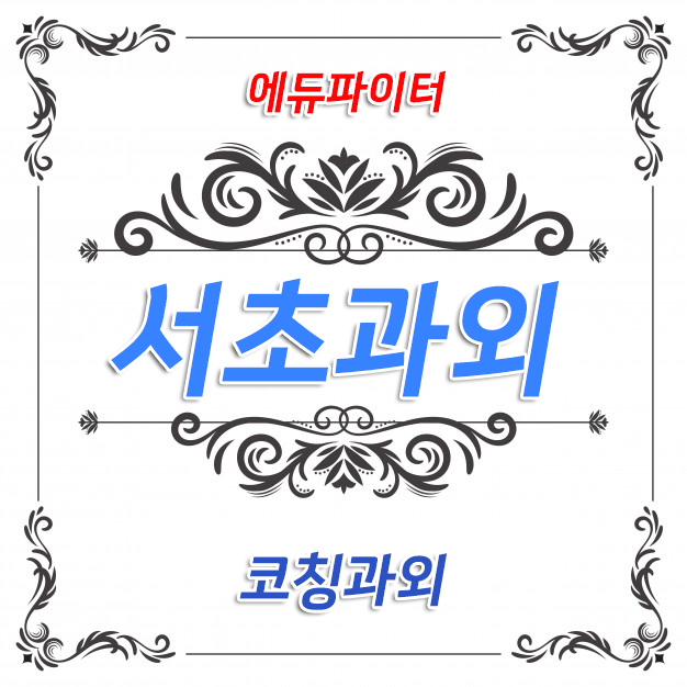  서초동과외 서초전문 1동 2동 3동 4동 서초역 교대역 강남역 방문과외