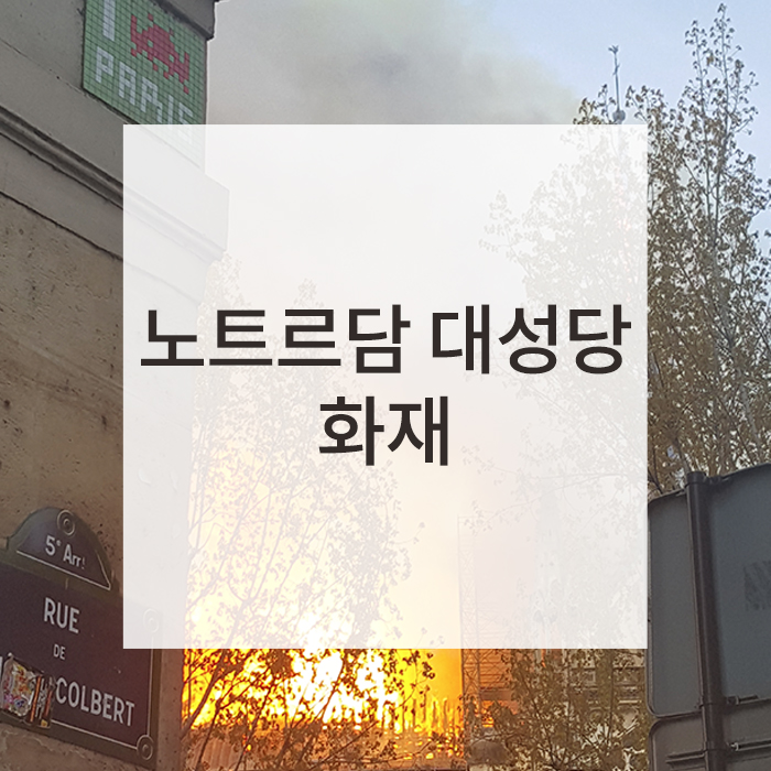  노트르담 대성당 화재 : 당시 현장 모습과 피해 규모 / 현재 상황 / 예전의 아름다웠던 모습