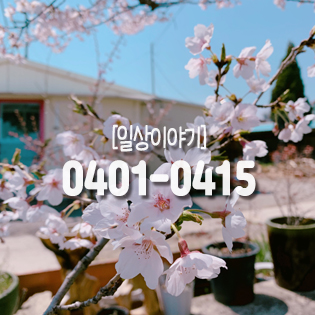  [일상 0401-0415] 코엑스출장 : 아산목화반점 : 천안벚꽃나들이 : 각원사 : 천안뚜쥬르빵집 맛있다