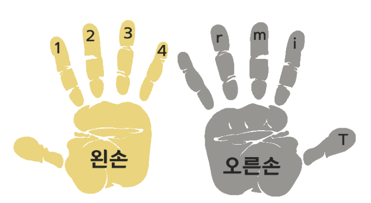  기타(Guitar) 악기 기초 공부