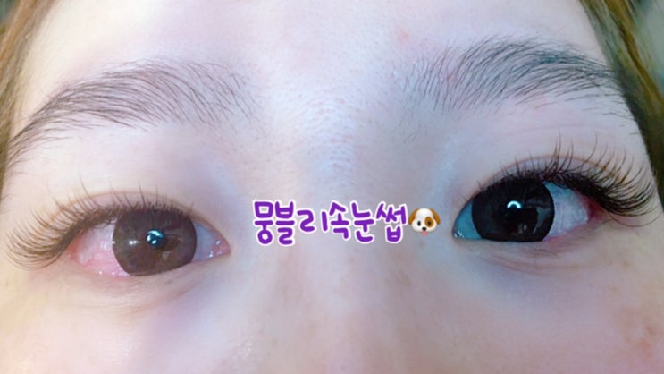  호구포역 속눈썹연장/뷰러펌 전문샵 / 인천논현동 뭉블리속눈썹 !