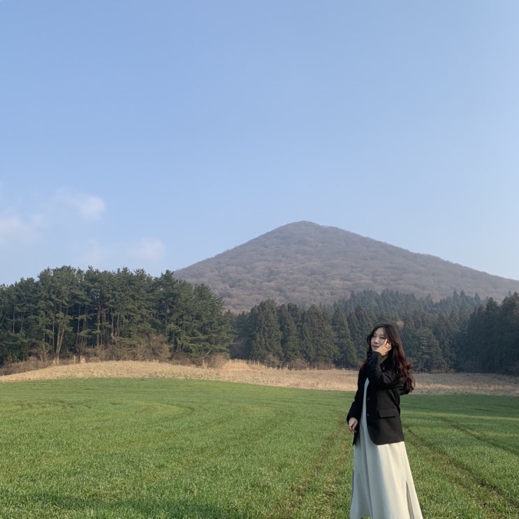  혼자 제주