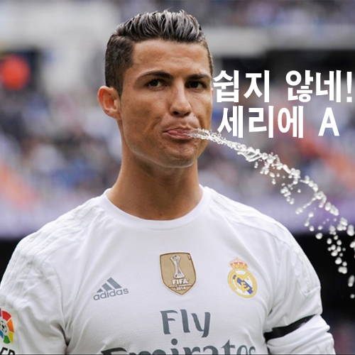  세리에A 득점왕 순위 6경기 남기고 인생경기 펼치는 골잡이들!