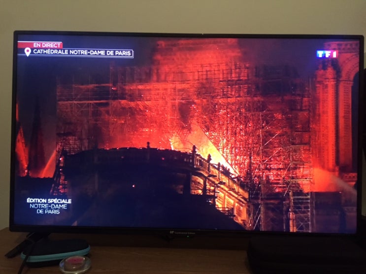  믿을수 없는 노트르담 파리 화재ㅠㅠ