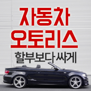  신차리스 여기서 가능성을 봤습니다