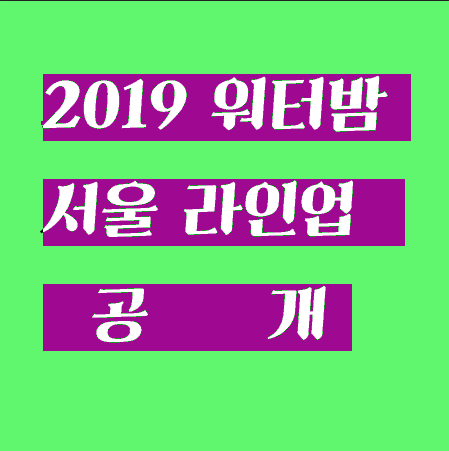  2019 워터밤 서울 라인업