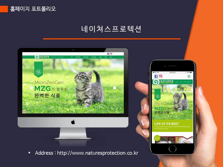  도메인 이름 및 SEO