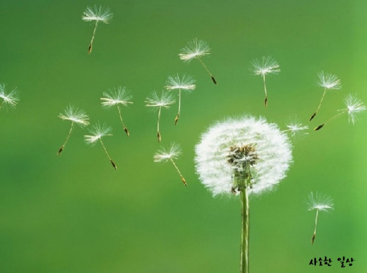  민사채권회수의 예 /대구고려신용정보(주)/고려신용정보 대구지사/고려신용정보 대구중앙지사/미수금/채권추심/못받은돈/떼인돈받아주는곳