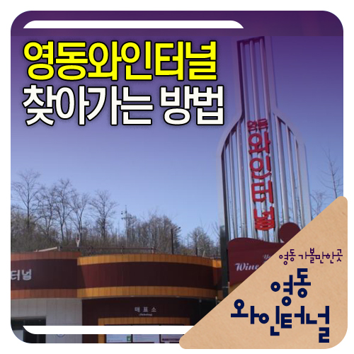  영동 와인터널 찾아가는방법