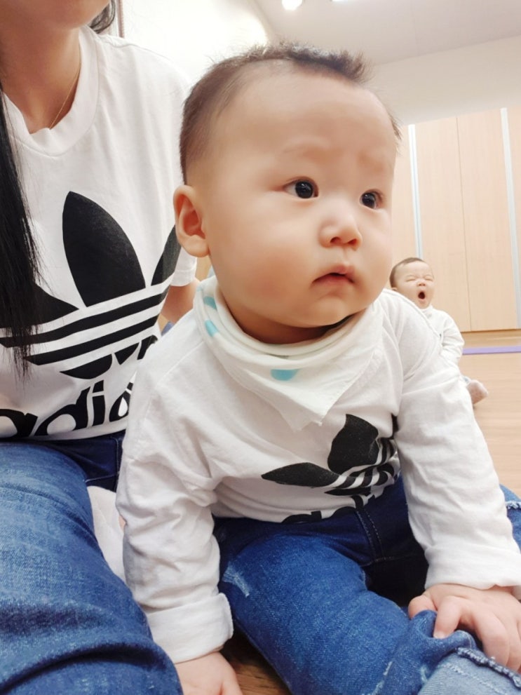  D+230일~232일 수원 갤러리아 문화센터 베이비붐 쁘띠클레스 쁘띠엘린 에티튜드 젖병세정제 주방세제 가습기살균제성분 환불