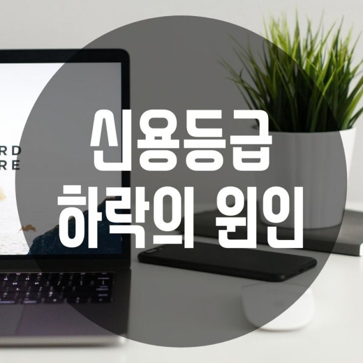  신용등급을 하락시키는 원인은 무엇일까요?