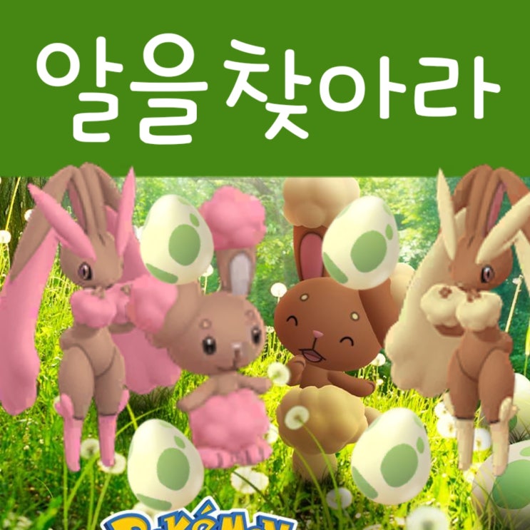  포켓몬고 이벤트 포켓몬의 알을 찾아라! 정리 - 이로치 이어롤 진화