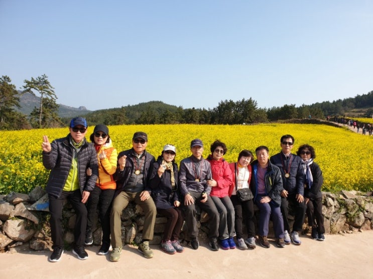 2019.4.12.13.완도 청산도가우도