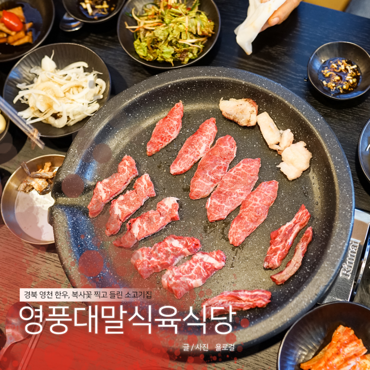 경북 영천 한우 영풍대말식육식당, 복사꽃 찍고 소고기 먹고!