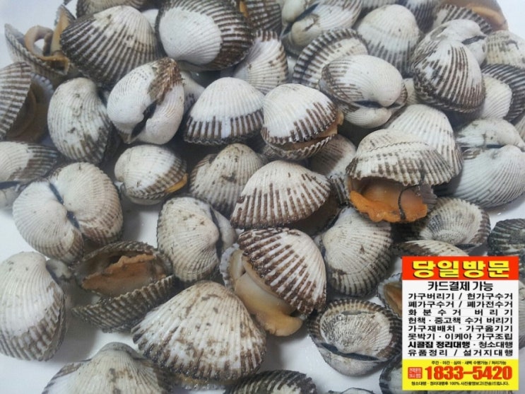  꼬막찜 사다드림 전주.익산.군산 심돌이 심부름(배달)대행 퀵서비스