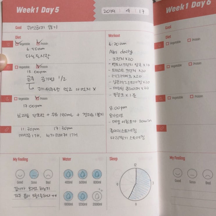  [다이어트 수련 일기] 2019.04.17 시작은 미약하나
