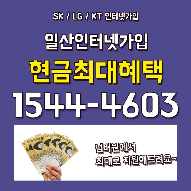  사리현동 지영동 설문동 문봉동 성석동 풍산동 인터넷가입 설치신청 제휴카드할인