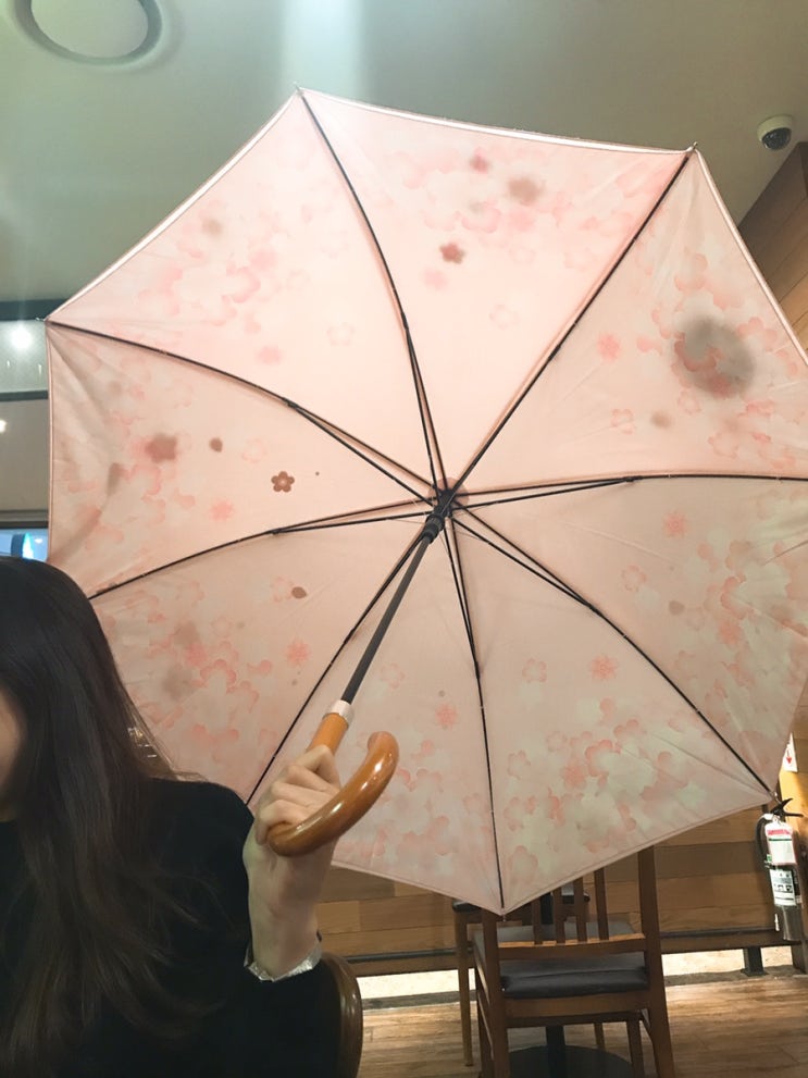 2019 스타벅스 MD 봄 한정판 꽃피는 벚꽃 우산