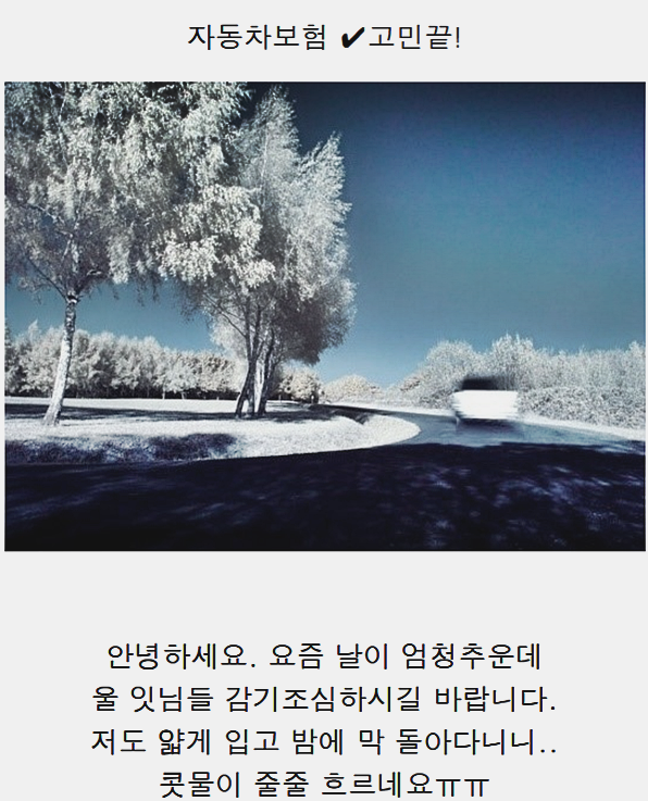  자동차보험가입시유의사항 꼼꼼R기 